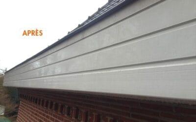 Nettoyage des cache-moineaux et planches de rives